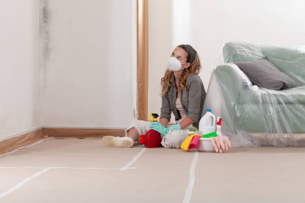 Reliable Black Mold Removal contractor in Langhorne, PA by WQB Mold Removal
